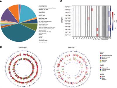 Specific genetic aberrations of parathyroid in Chinese patients with tertiary hyperparathyroidism using whole-exome sequencing